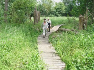 Wandelaars Persregio Dender