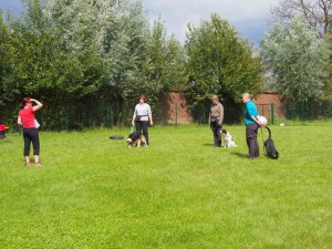 Kwispelturig Denderhoutem Persregio Dender