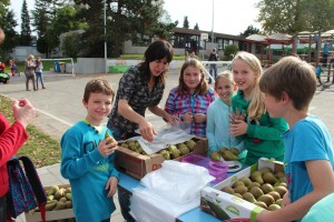 Perenverkoop leerlingen De Bij Liedekerke Persregio Dender