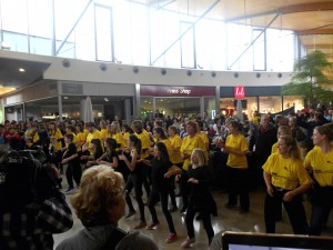 Flashmob Wit Gele Kruis Ninove Persregio Dender