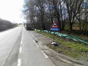 Paddenoversteekplaats in Denderhoutem Persregio Dender