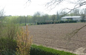 Bloesemwandeling in Haaltert Persregio Dender