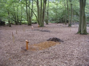 Natuurbegravingen Persregio Dender