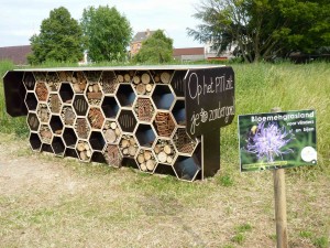 Leerlingen PTI Ninove bouwen bijenhotel Persregio Dender