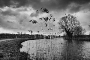 Stadsfotografen in Ninove Persregio Dender