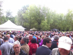 Parkconcerten in Ninove Persregio Dender