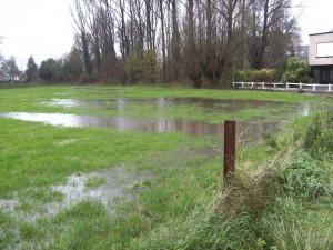 Molenkouter Hofstade Persregio Dender