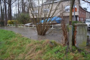 Molenbeek Hofstade treed buiten oevers Persregio Dender