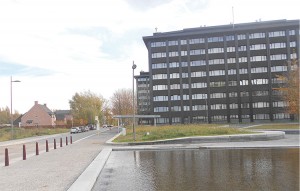 Ten Rozen Aalst Persregio Dender