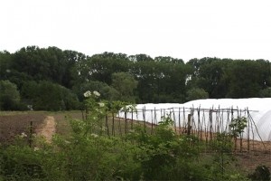 Zelfplukboerderij Erwtjes & Knollen Geraardsbergen Persregio Dender