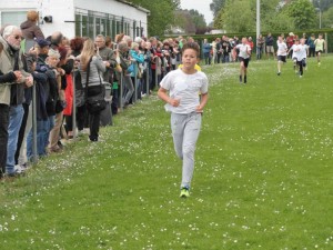 Scholenveldloop Haaltert in Denderhoutem Persregio Dender