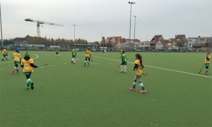 Denderhockey in Ninove Persregio Dender