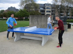 Betonnen pingpong tafel in stadspark Ninove Persregio Dender