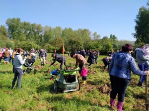 Aanplanting geboortebos in Heldergem Persregio Dender