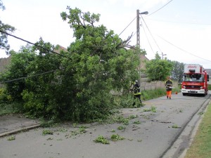 Boom valt op hoogspanningskabel Denderhoutem Persregio Dender