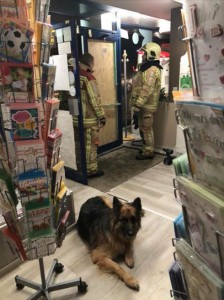 Inbraak in boekenwinkel Nieuwstraat Denderleeuw Persregio Dender