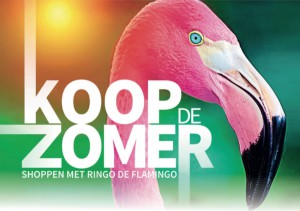 RingoFlamingo zomerbraderij in Aalst Persregio Dender